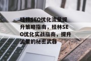 桂林SEO优化流量提升策略指南，桂林SEO优化实战指南，提升流量的秘密武器