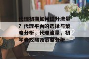 代理初期如何提升流量?代理平台的选择与策略分析,代理流量,初学者攻略及策略分析 代理初期如何提升流量?代理平台的选择与策略分析,代理流量,初学者攻略及策略分析