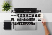 长沙网站搭建软件选择——打造在线型企业空间,长沙企业搭建,从方案到实施全攻略 长沙网站搭建软件选择——打造在线型企业空间,长沙企业搭建,从方案到实施全攻略
