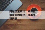 网站流量统计,揭开数据背后的奥秘,提出关键问题 网站流量统计,揭开数据背后的奥秘,提出关键问题