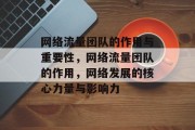 网络流量团队的作用与重要性,网络流量团队的作用,网络发展的核心力量与影响力 网络流量团队的作用与重要性,网络流量团队的作用,网络发展的核心力量与影响力