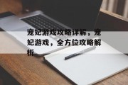 宠妃游戏攻略详解，宠妃游戏，全方位攻略解析