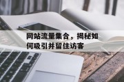 网站流量集合，揭秘如何吸引并留住访客