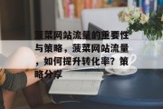 菠菜网站流量的重要性与策略,菠菜网站流量,如何提升转化率?策略分享 菠菜网站流量的重要性与策略,菠菜网站流量,如何提升转化率?策略分享