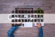 小说流量网站的健康发展与挑战,小说流量网站健康发展的必要性和挑战探讨 小说流量网站的健康发展与挑战,小说流量网站健康发展的必要性和挑战探讨