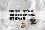 网站搭建一站式服务,揭秘哪里有卖优质网站搭建解决方案 网站搭建一站式服务,揭秘哪里有卖优质网站搭建解决方案