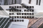 网站流量监控的重要性及实践应用,网站流量监控,实时掌握网络态势的宝贵工具及其实战运用案例分析
