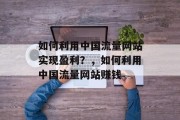 如何利用中国流量网站实现盈利?,如何利用中国流量网站赚钱 如何利用中国流量网站实现盈利?,如何利用中国流量网站赚钱