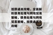 抵债通关攻略,全面解析债务处理与跨境贸易策略,债务处理与跨境贸易策略,抵债通关全攻略 抵债通关攻略,全面解析债务处理与跨境贸易策略,债务处理与跨境贸易策略,抵债通关全攻略