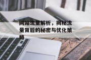 网站流量解析,揭秘流量背后的秘密与优化策略 网站流量解析,揭秘流量背后的秘密与优化策略
