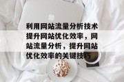 利用网站流量分析技术提升网站优化效率,网站流量分析,提升网站优化效率的关键技巧 利用网站流量分析技术提升网站优化效率,网站流量分析,提升网站优化效率的关键技巧