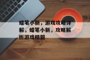 蜡笔小新,游戏攻略详解,蜡笔小新,攻略解析游戏精髓 蜡笔小新,游戏攻略详解,蜡笔小新,攻略解析游戏精髓