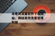 龙卷风流量软件下载网站,揭秘高效流量管理利器 龙卷风流量软件下载网站,揭秘高效流量管理利器