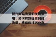 提升网站流量的关键策略，如何有效提高网站流量，策略和技巧分享