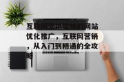 互联网营销策略的网站优化推广，互联网营销，从入门到精通的全攻略