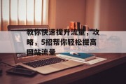教你快速提升流量，攻略，5招帮你轻松提高网站流量