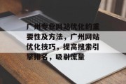 广州专业网站优化的重要性及方法，广州网站优化技巧，提高搜索引擎排名，吸引流量