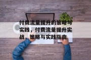 付费流量提升的策略与实践,付费流量提升实战,策略与实践指南 付费流量提升的策略与实践,付费流量提升实战,策略与实践指南