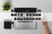 黑网站流量,黑客们的眼睛之迷,黑客视网膜,黑网站流量的致命陷阱 黑网站流量,黑客们的眼睛之迷,黑客视网膜,黑网站流量的致命陷阱