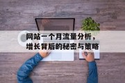 网站一个月流量分析,增长背后的秘密与策略 网站一个月流量分析,增长背后的秘密与策略