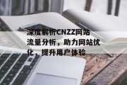 深度解析CNZZ网站流量分析，助力网站优化，提升用户体验