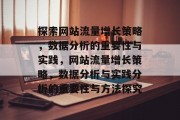探索网站流量增长策略,数据分析的重要性与实践,网站流量增长策略,数据分析与实践分析的重要性与方法探究 探索网站流量增长策略,数据分析的重要性与实践,网站流量增长策略,数据分析与实践分析的重要性与方法探究