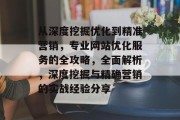 从深度挖掘优化到精准营销，专业网站优化服务的全攻略，全面解析，深度挖掘与精确营销的实战经验分享