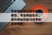 专业网站优化技术的重要性，专业网站优化，提升网站性能与效率的关键要素