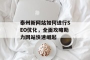 泰州新网站如何进行SEO优化，全面攻略助力网站快速崛起