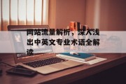 网站流量解析,深入浅出中英文专业术语全解读 网站流量解析,深入浅出中英文专业术语全解读