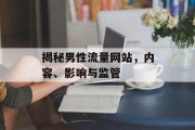 揭秘男性流量网站，内容、影响与监管