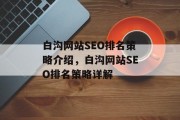 白沟网站SEO排名策略介绍,白沟网站SEO排名策略详解 白沟网站SEO排名策略介绍,白沟网站SEO排名策略详解