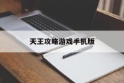 天王攻略游戏手机版
