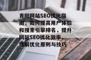 青阳网站SEO优化指南，如何提高用户体验和搜索引擎排名，提升网站SEO优化效率，理解优化原则与技巧