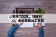 提升网站SEO的有效策略与实践,网站SEO,有效策略与实践指南 提升网站SEO的有效策略与实践,网站SEO,有效策略与实践指南