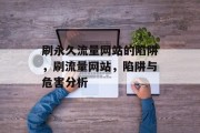刷永久流量网站的陷阱,刷流量网站,陷阱与危害分析 刷永久流量网站的陷阱,刷流量网站,陷阱与危害分析