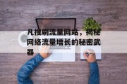 凡搜刷流量网站,揭秘网络流量增长的秘密武器 凡搜刷流量网站,揭秘网络流量增长的秘密武器