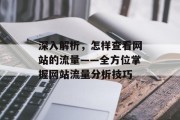 深入解析，怎样查看网站的流量——全方位掌握网站流量分析技巧