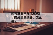 如何查看网站流量统计，网站流量统计，怎么看？