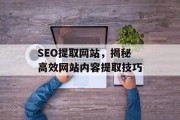 SEO提取网站,揭秘高效网站内容提取技巧 SEO提取网站,揭秘高效网站内容提取技巧