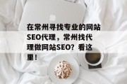 在常州寻找专业的网站SEO代理，常州找代理做网站SEO？看这里！