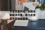小宝流量网站,创新流量解决方案,助力企业高效营销新篇章 小宝流量网站,创新流量解决方案,助力企业高效营销新篇章