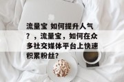 流量宝 如何提升人气？，流量宝，如何在众多社交媒体平台上快速积累粉丝？