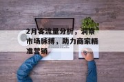 2月客流量分析，洞察市场脉搏，助力商家精准营销