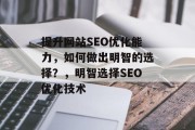 提升网站SEO优化能力，如何做出明智的选择？，明智选择SEO优化技术