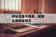 网站流量不限量,解锁无限商业潜力 网站流量不限量,解锁无限商业潜力