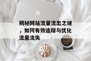 揭秘网站流量流出之谜，如何有效追踪与优化流量流失