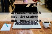 阜冬网站优化的策略与技巧，阜冬SEO优化指南，策略与技巧分享