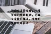 芝麻卡流量提升，一种关键的策略驱动，芝麻卡流量的秘诀，提升的关键策略驱动