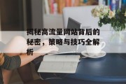 揭秘高流量网站背后的秘密，策略与技巧全解析